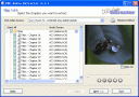 Screenshot of DVD Audio Extractor 4.5.4