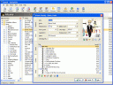 Screenshot of Audiophiler Music Organizer 1.6.3